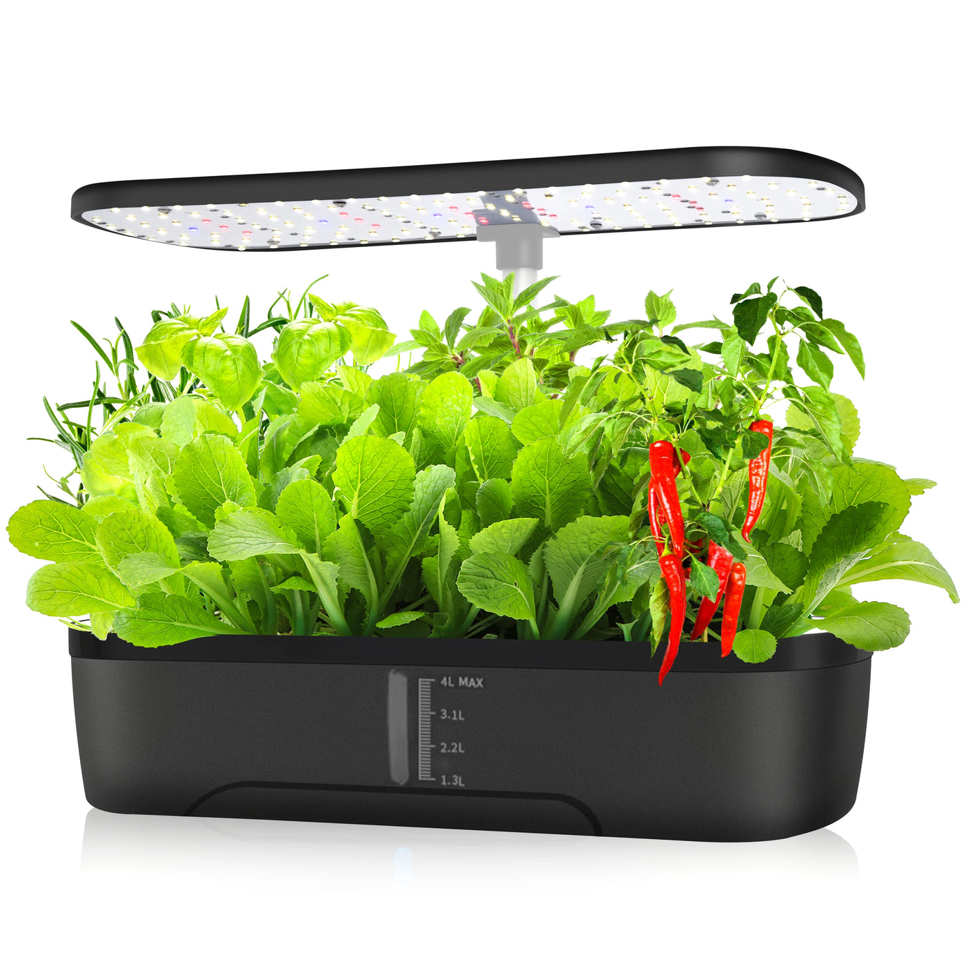 Hydroponics Herb Garden Kit - Image 1